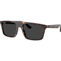 RB2222, Havana/Black Polarised Glass Lenses 57 Eye Size