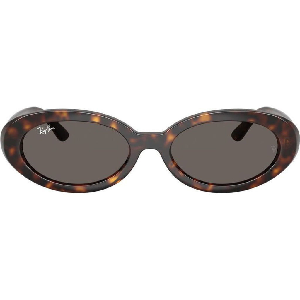 RB2223, Havana/Dark Grey Glass Lenses