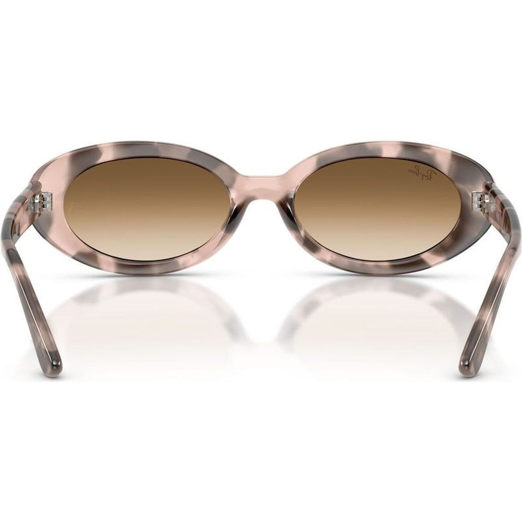 RB2223, Opal Pink Havana/Clear Brown Gradient Glass Lenses