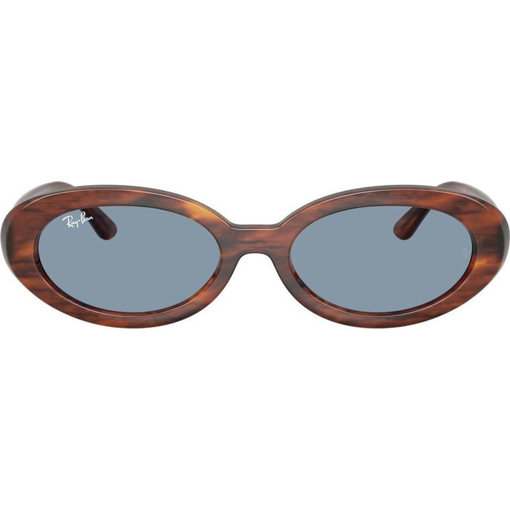 RB2223, Striped Havana/Blue Glass Lenses
