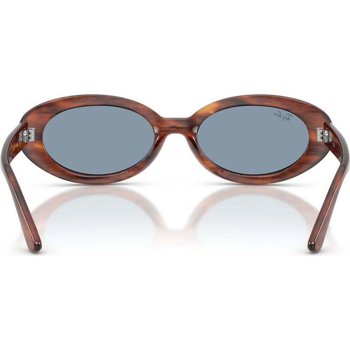 RB2223, Striped Havana/Blue Glass Lenses