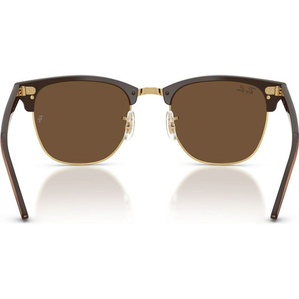 Clubmaster Classic RB3016F, Brown on Gold/Dark Brown Glass Lenses