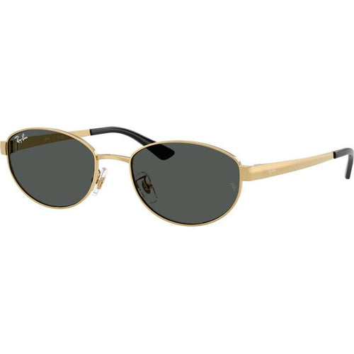RB3774D, Arista/Dark Grey Lenses