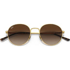 RB3681, Arista/Brown Gradient Lenses