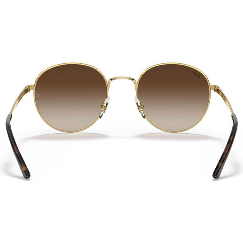 RB3681, Arista/Brown Gradient Lenses