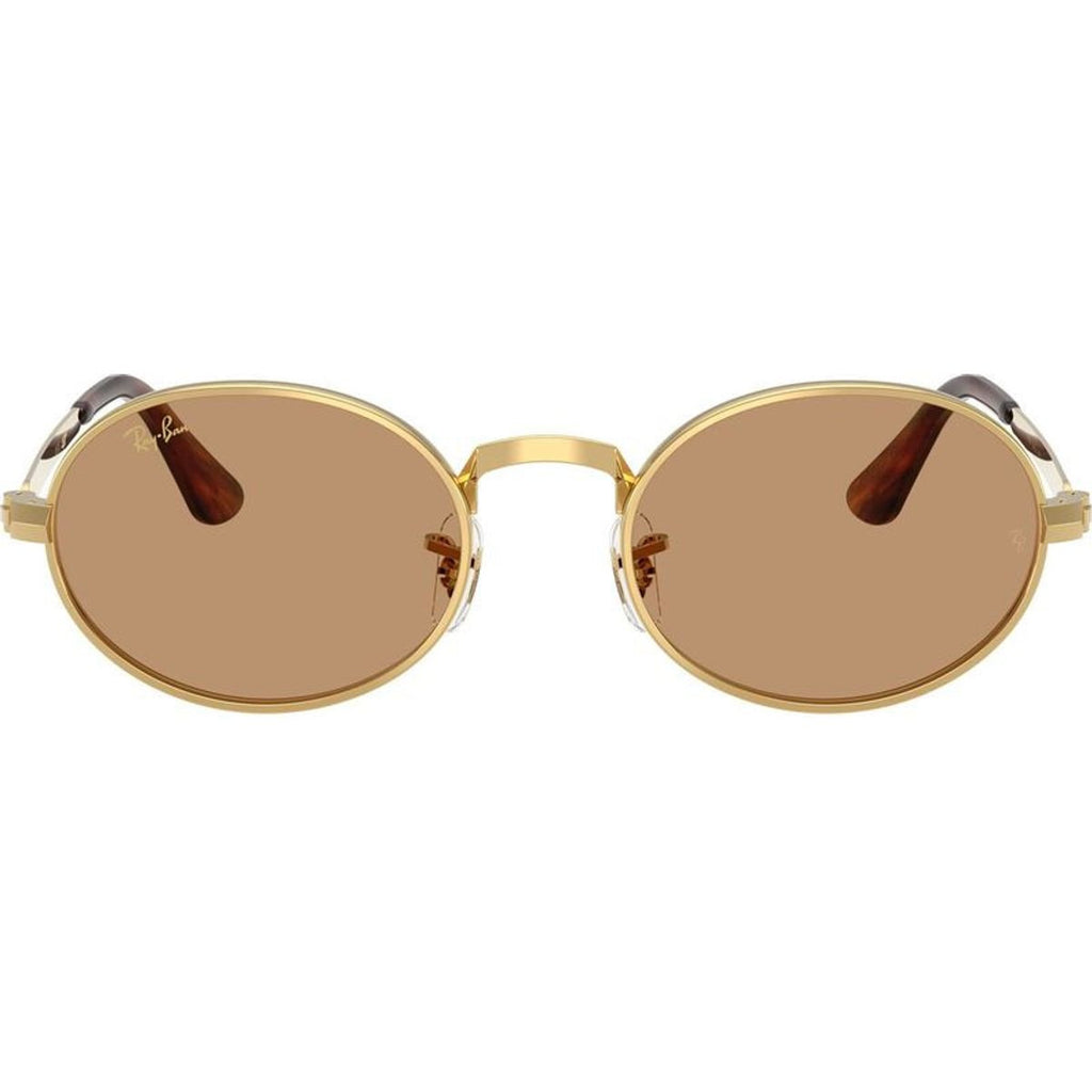 RB3931, Arista/Brown Glass Lenses