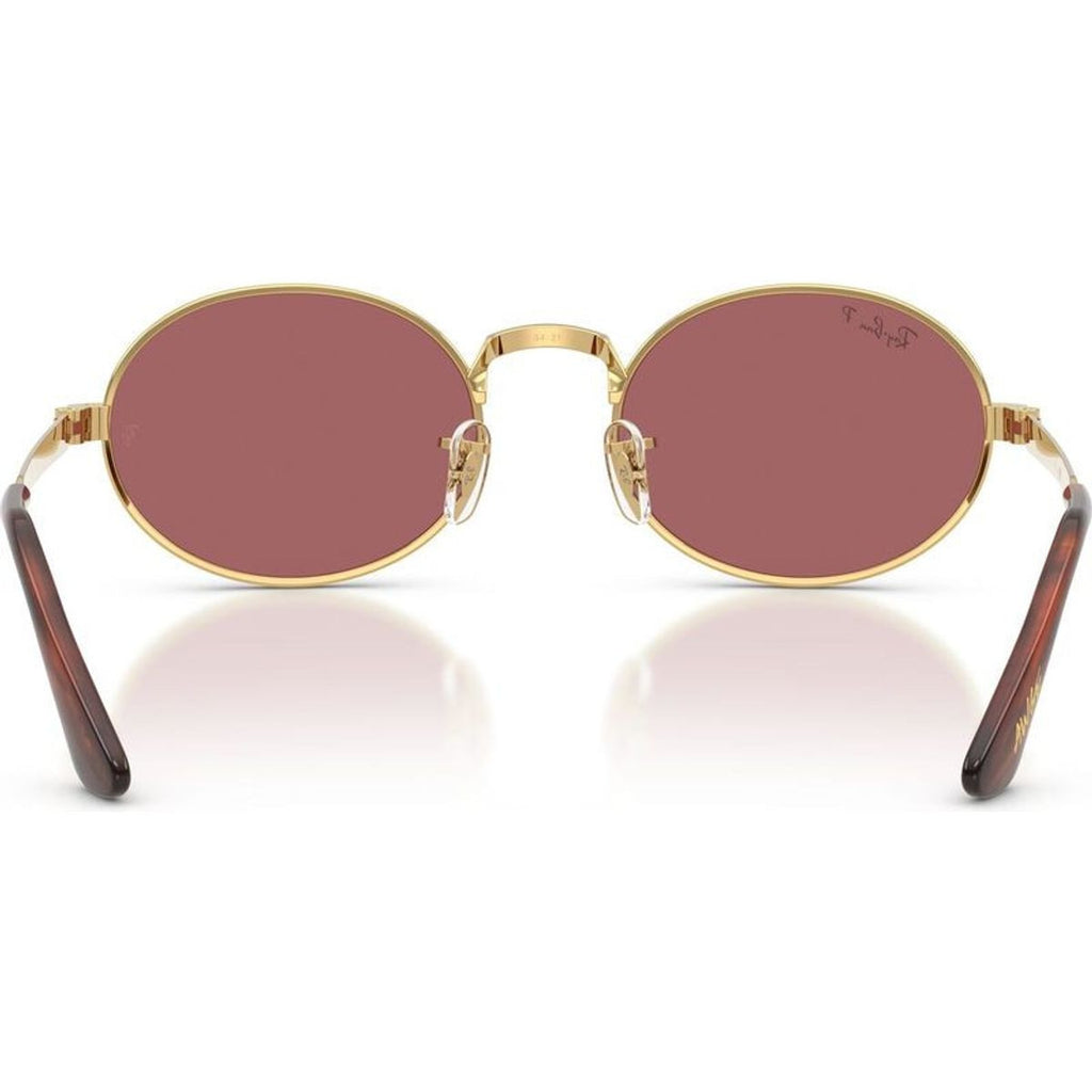 RB3931, Arista/Purple Polarised Glass Lenses