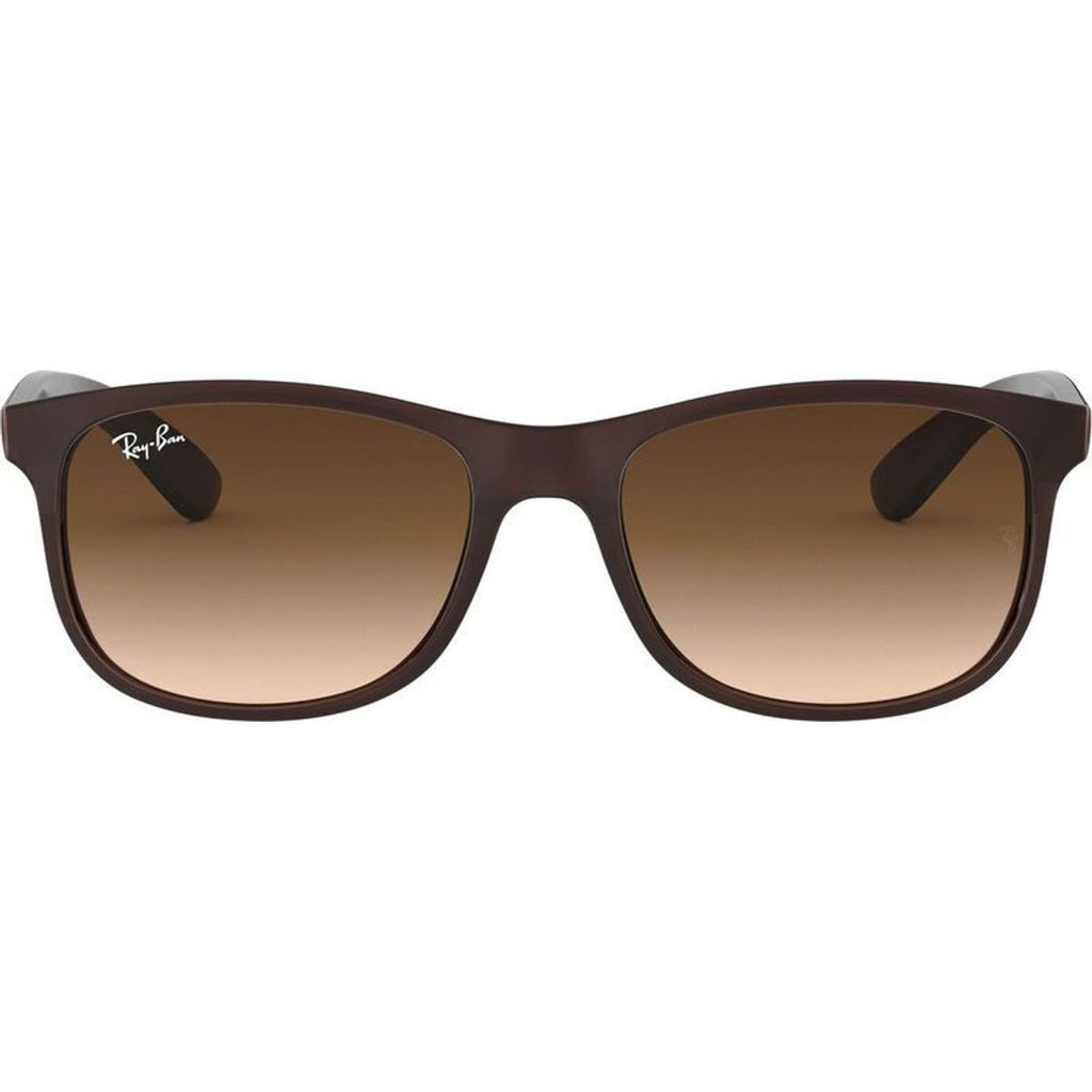 Andy RB4202, Matte Brown/Brown Gradient Lenses