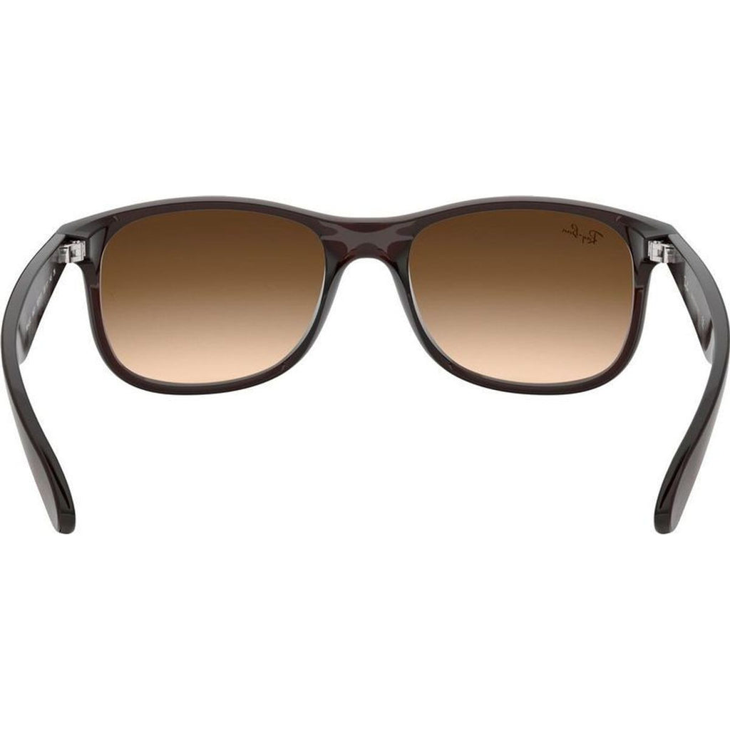 Andy RB4202, Matte Brown/Brown Gradient Lenses