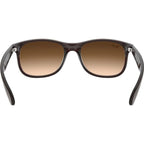 Andy RB4202, Matte Brown/Brown Gradient Lenses