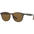 RB4259, Havana/Brown Lenses