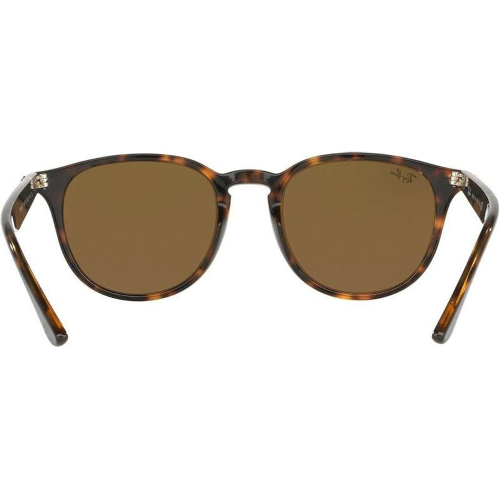 RB4259, Havana/Brown Lenses
