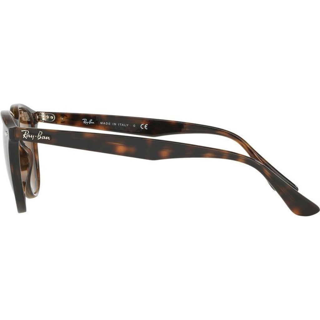 RB4259, Havana/Brown Lenses