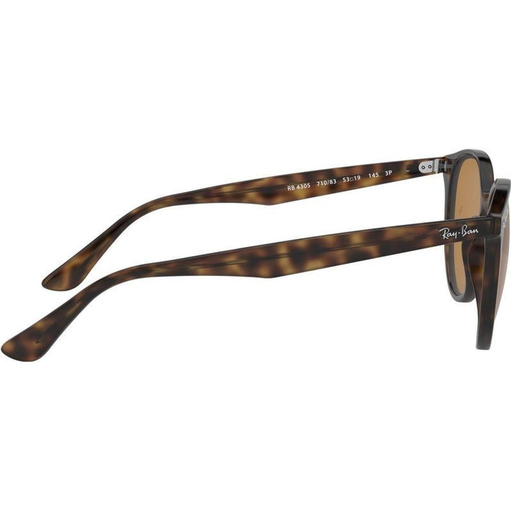 RB4305, Havana/Brown Polarised Lenses