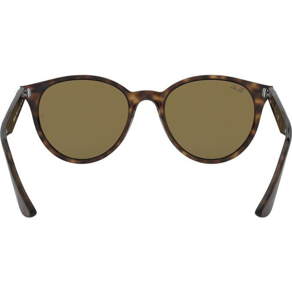RB4305, Havana/Dark Brown Lenses
