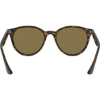 RB4305, Havana/Dark Brown Lenses