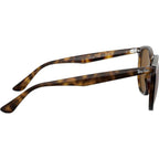 RB4306, Light Havana/Brown Polarised Lenses