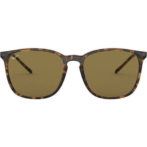 RB4387, Havana/Dark Brown Lenses