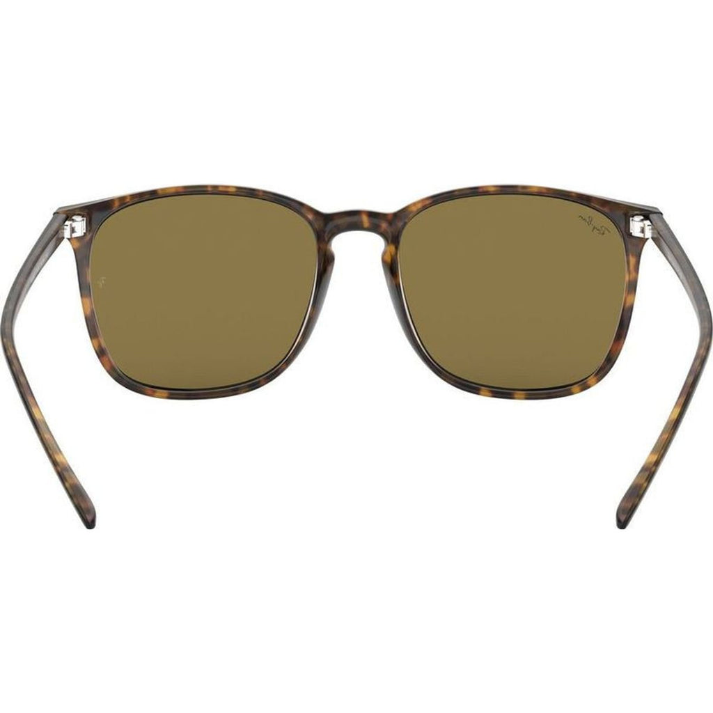 RB4387, Havana/Dark Brown Lenses