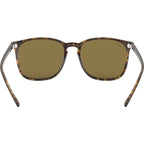 RB4387, Havana/Dark Brown Lenses