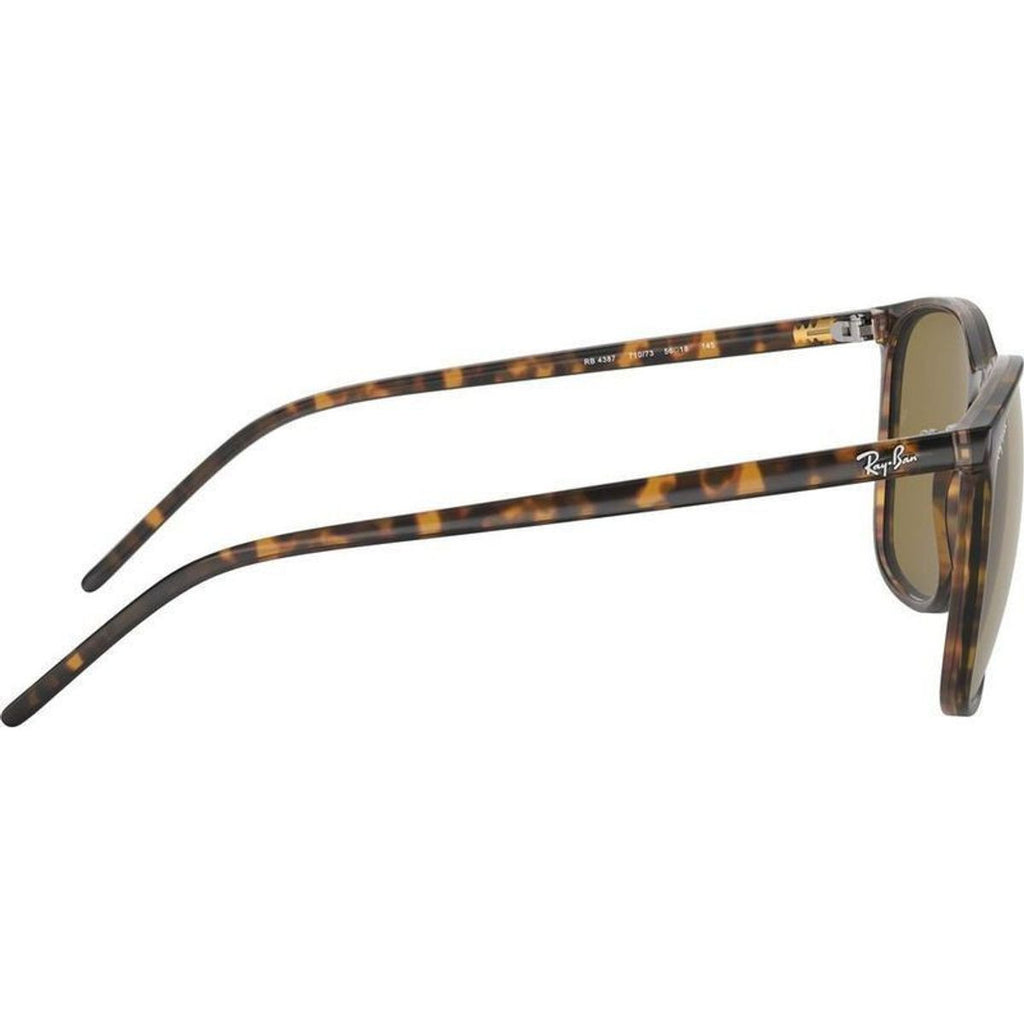 RB4387, Havana/Dark Brown Lenses