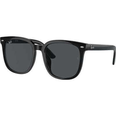RB4401D, Black/Dark Grey Lenses 55 Eye Size
