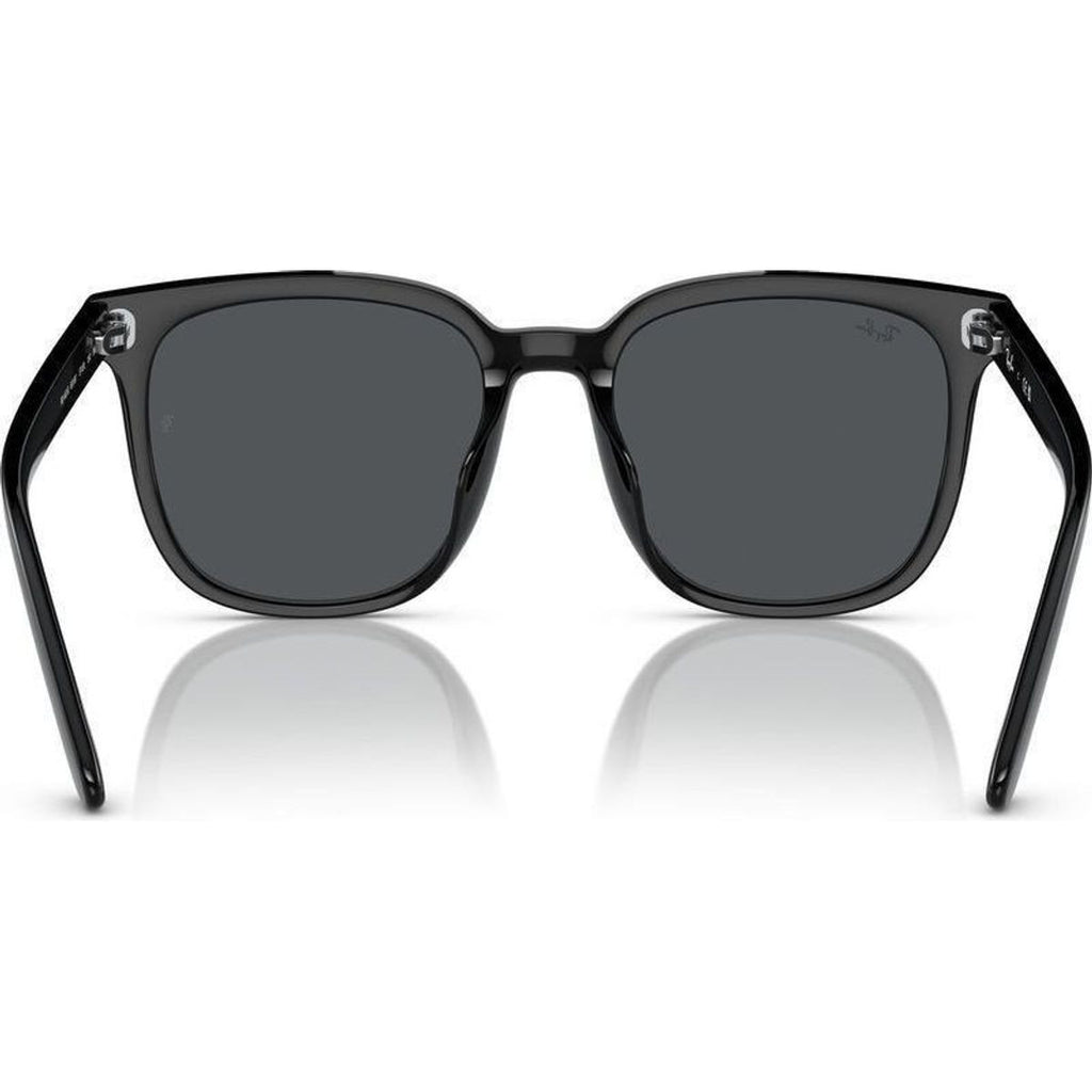 RB4401D, Black/Dark Grey Lenses 55 Eye Size