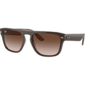 RB4407, Brown and Transparent Beige/Brown Gradient Lenses