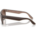 RB4407, Brown and Transparent Beige/Brown Gradient Lenses