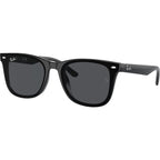 RB4420, Black/Dark Grey Lenses