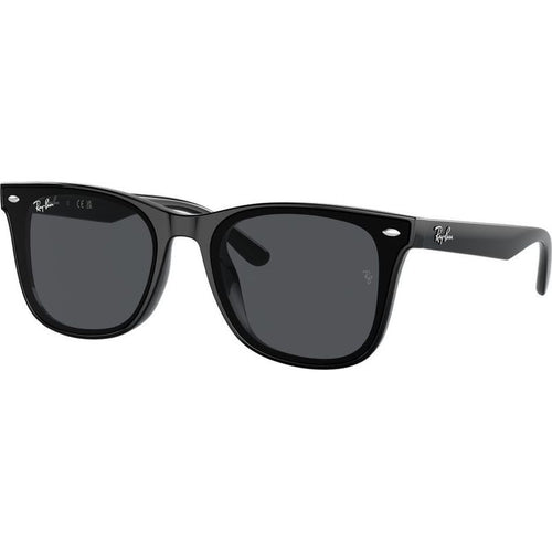 RB4420, Black/Dark Grey Lenses
