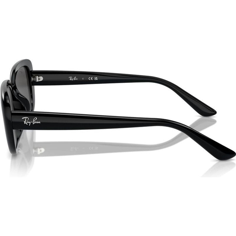 RB4421D, Black/Dark Grey Lenses