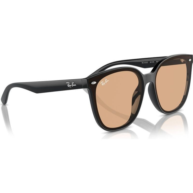 RB4423D, Black/Brown Lenses