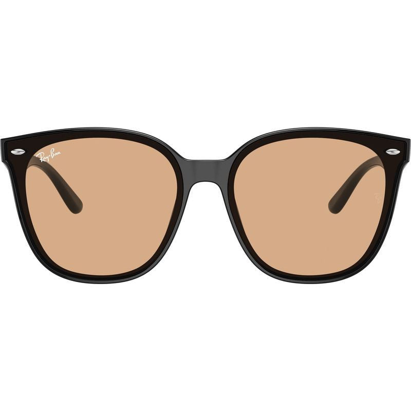RB4423D, Black/Brown Lenses