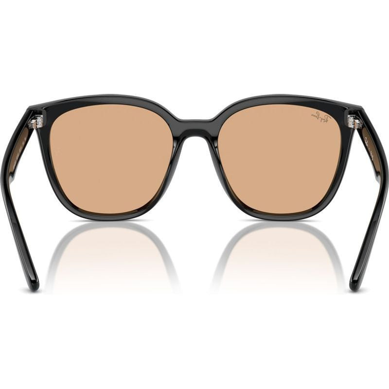 RB4423D, Black/Brown Lenses