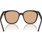 RB4423D, Black/Brown Lenses