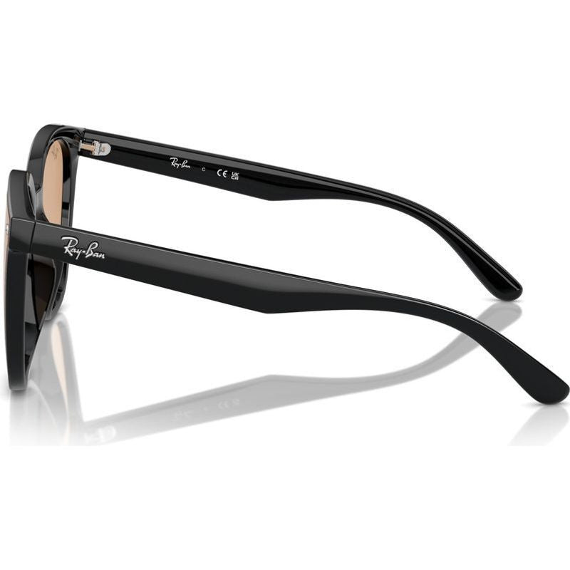 RB4423D, Black/Brown Lenses