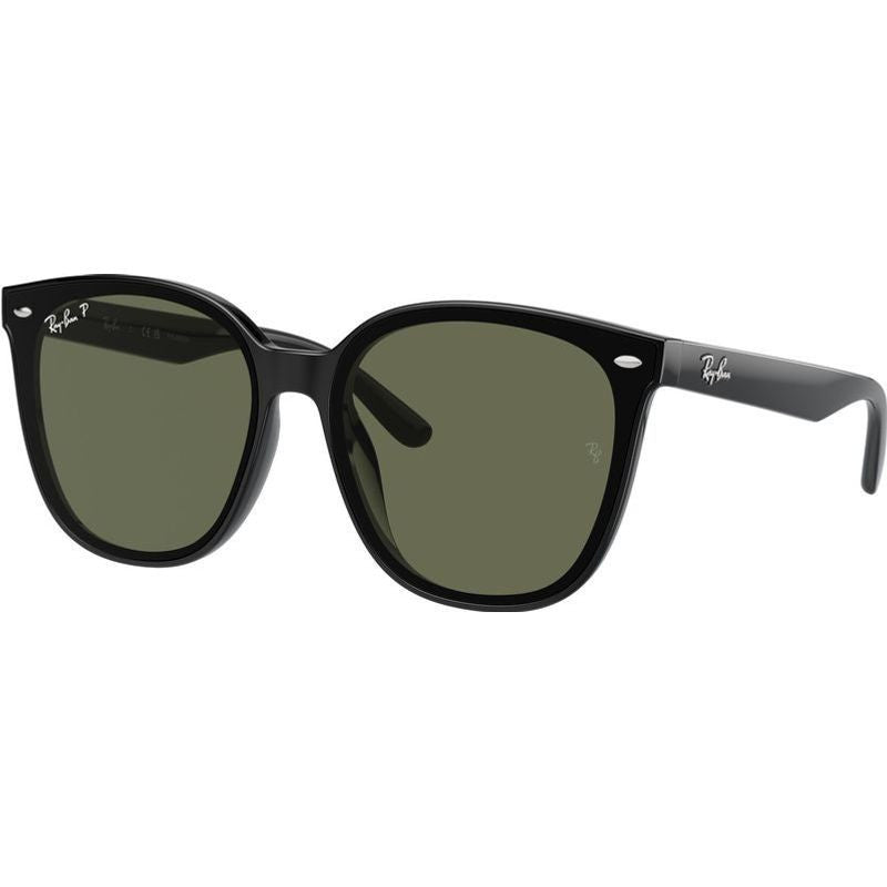 RB4423D, Black/Dark Green Polarised Lenses