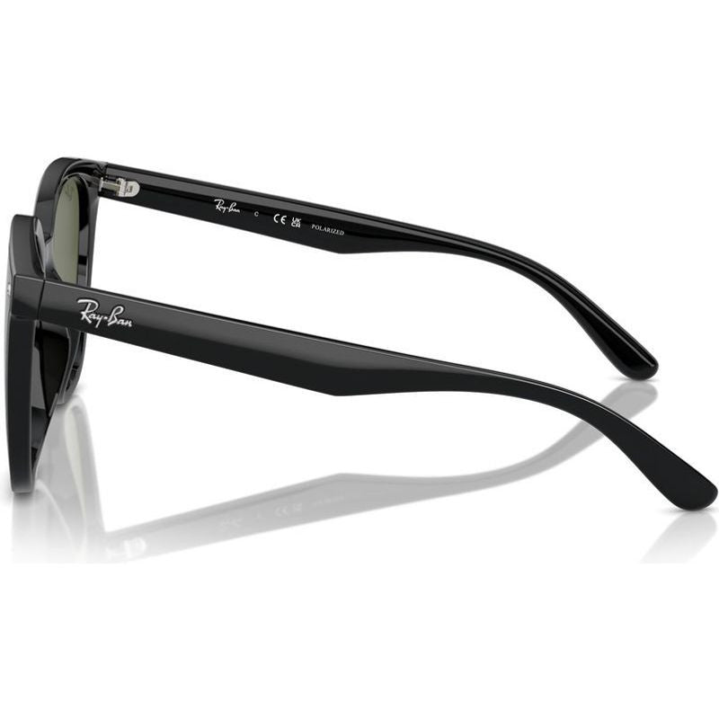 RB4423D, Black/Dark Green Polarised Lenses