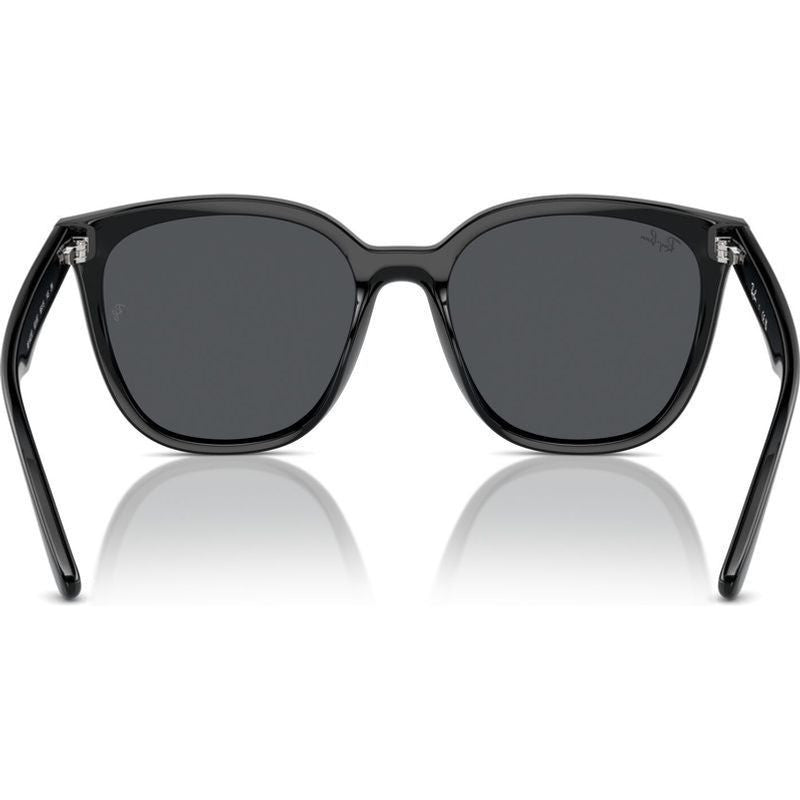RB4423D, Black/Dark Grey Lenses