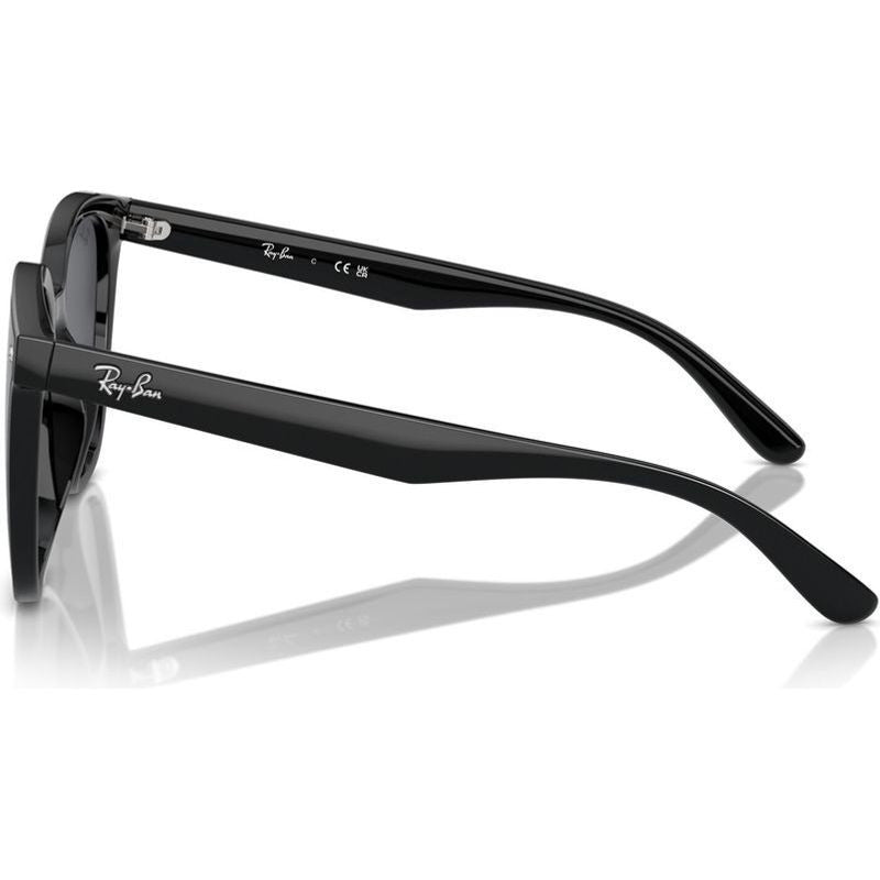 RB4423D, Black/Dark Grey Lenses