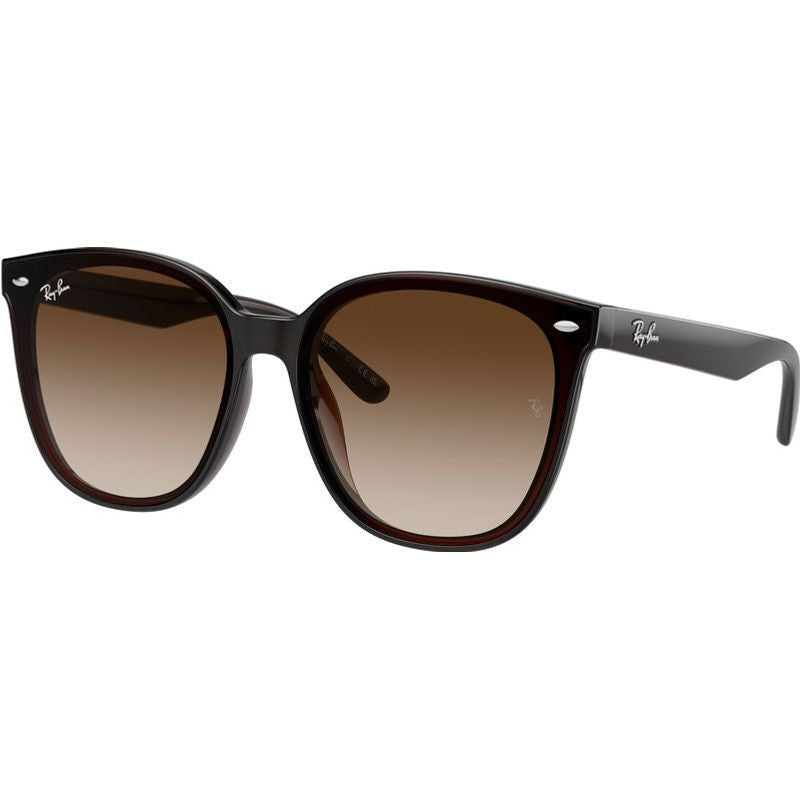 RB4423D, Transparent Brown/Brown Gradient Lenses