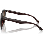 RB4423D, Transparent Brown/Brown Gradient Lenses