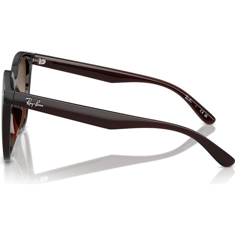 RB4423D, Transparent Brown/Brown Gradient Lenses