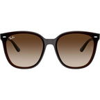 RB4423D, Transparent Brown/Brown Gradient Lenses