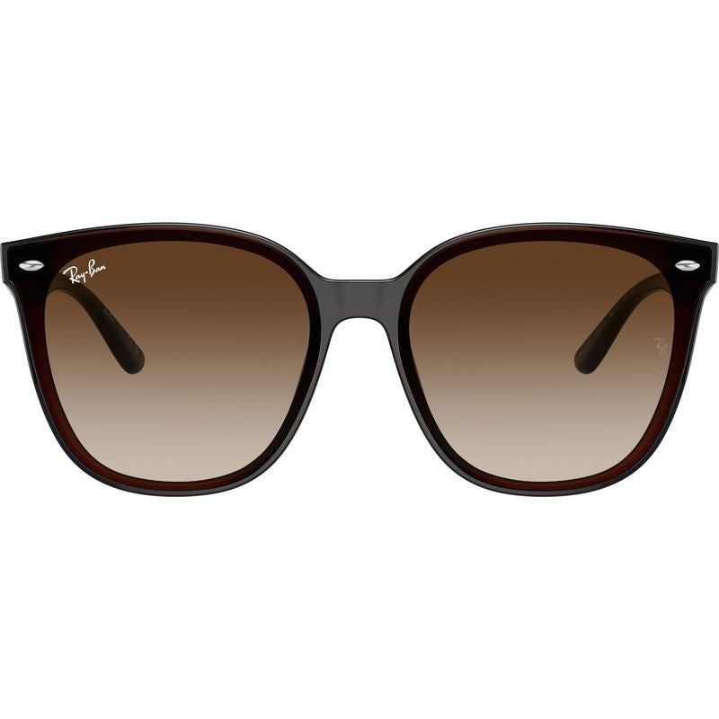 RB4423D, Transparent Brown/Brown Gradient Lenses