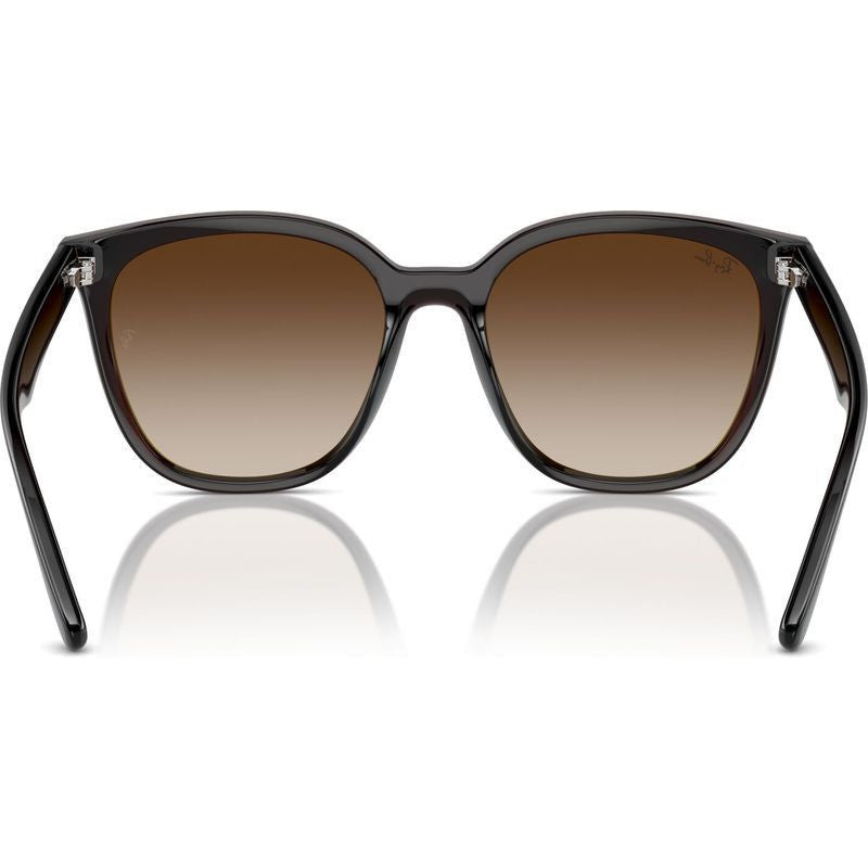 RB4423D, Transparent Brown/Brown Gradient Lenses