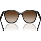 RB4423D, Transparent Brown/Brown Gradient Lenses