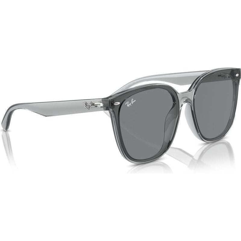 RB4423D, Transparent Grey/Grey Lenses