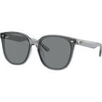 RB4423D, Transparent Grey/Grey Lenses